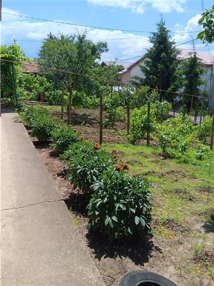 Copou Vila P+M Su.165mp Teren 1000mp vecin cu limita Gradina Botanica - 1