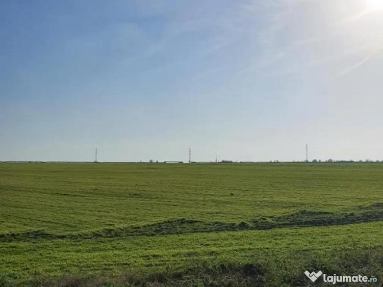 Teren de vanzare in Agigea, Varianta Agigea Techirghiol - 25000 mp - 2