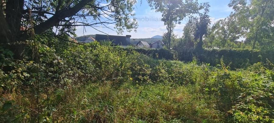 Casa individuala cu 3 camere,CODLEA - DUMBRAVITA ,65000 euro - 8