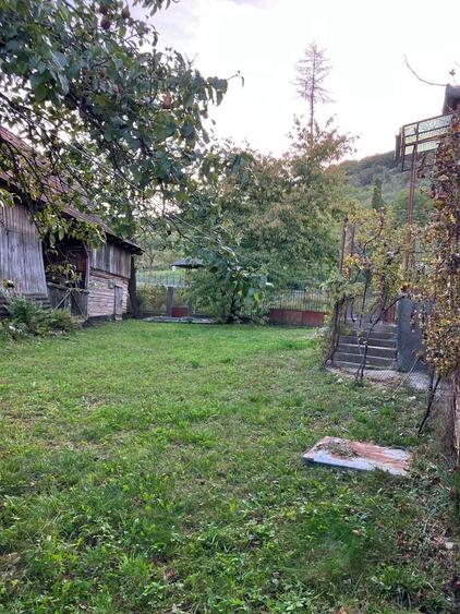 Casa cu gradina si pomi fructiferi - teren 2401 mp - loc. Moldovenesti - 4