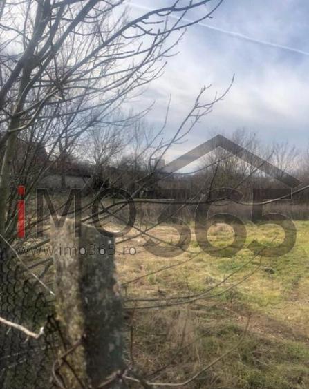 Casa demolabila si teren 3758mp intravilan Rociu Gliganu - 5