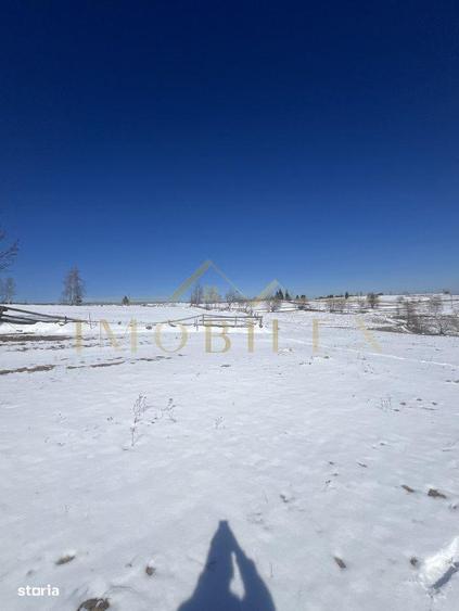 Teren in Marisel 5000 mp - 5