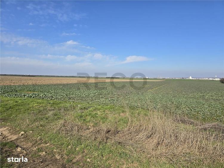 RECO Teren in Oradea - 6