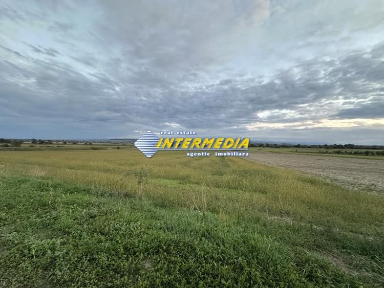 OKAZIE ! 2300 mp. Teren Intravilan Mereteu lat 22 m toate utilitatiile in fata - 2