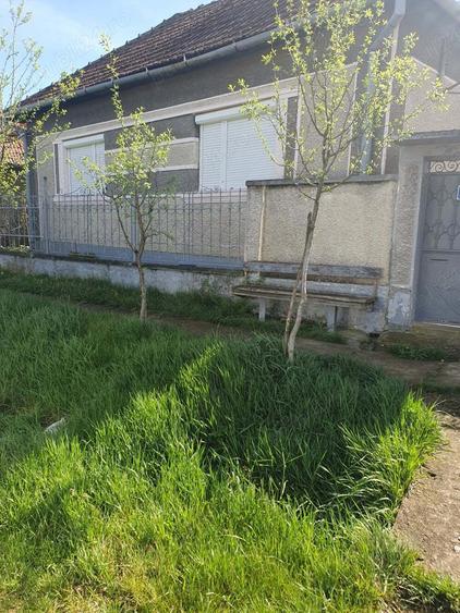 Vand casa Bicaci - 4