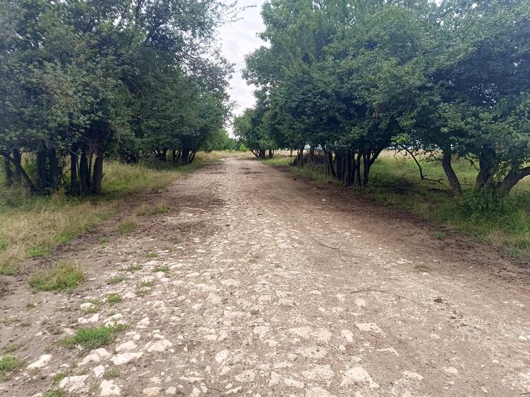 De vanzare - Teren intravilan pentru constructii – 16.500 mp / 0% comision - 7