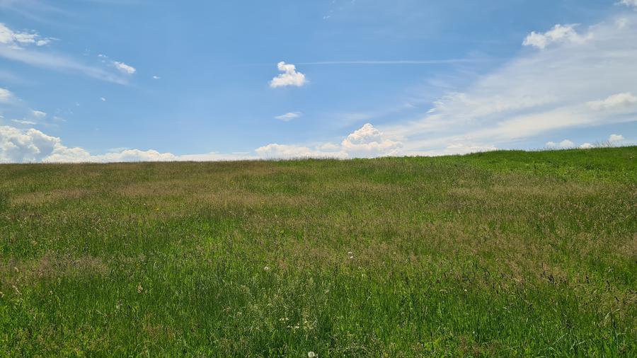 TEREN INTRAVILAN  BOD - 1200 mp pentru constructii case Sp+P+E+M - 9