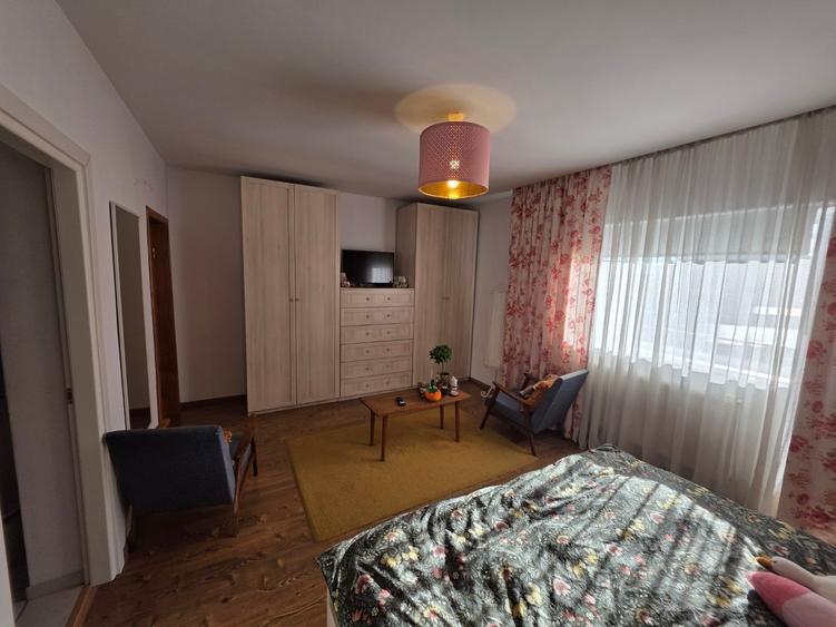 Dristor, Camil Ressu, 15 minute metrou, pe strada Ilioara - 14