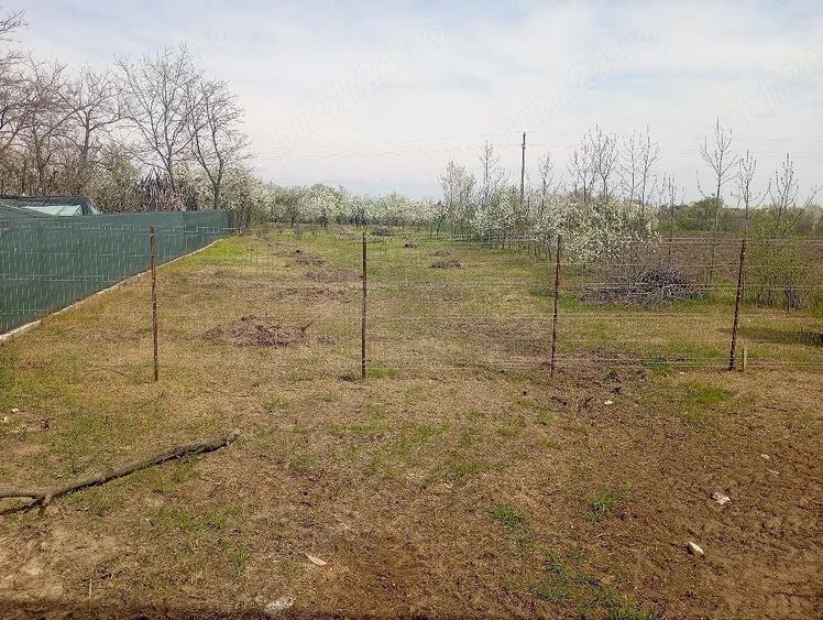 vnd casa la rosu - 5