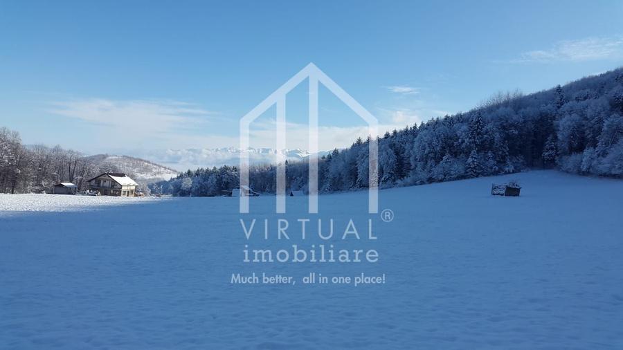 Teren intravilan de vanzare in Tocile, 3862 mp, priveliste spre padure - 14