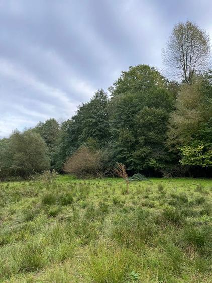 Casa cu teren 2 hectare intravilan - 3