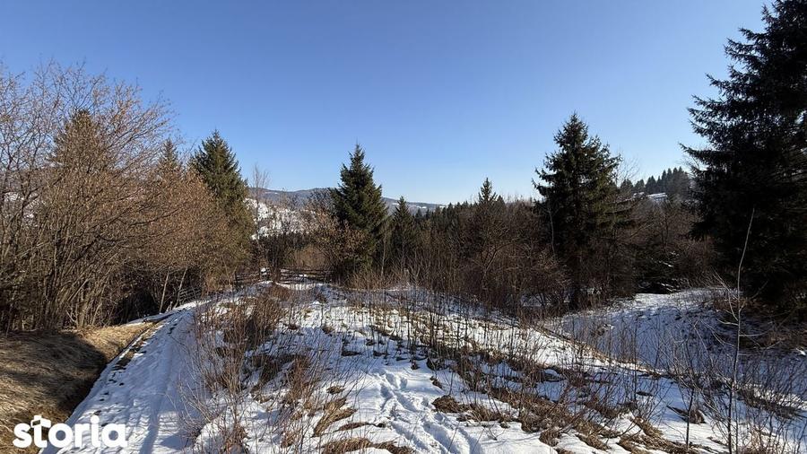 Teren extravilan 2.1 ha Salatruc, Vama - 11