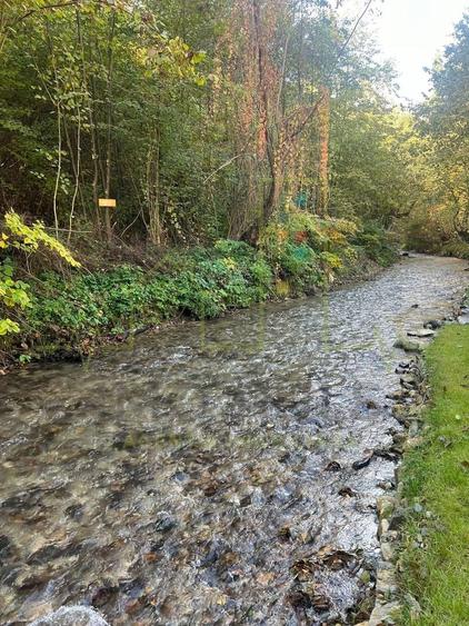 Proprietar. Vand teren. Paraul Runcu este limita de proprietate. Drum asfaltat - 6