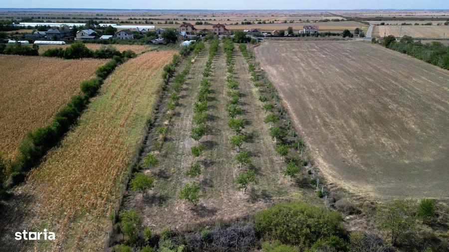 Vanzare teren 9654 mp, deschidere 27m, comuna Dobra, sat Dobra - 9