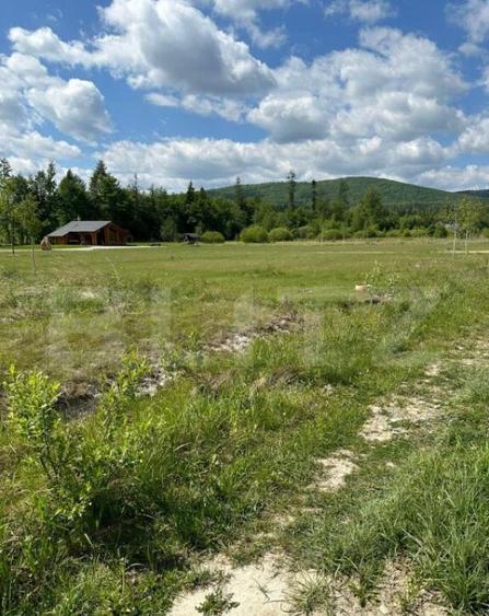 Teren intravilant, 2500 MP, parcelabil , front 25 ml ,Hardic - 6