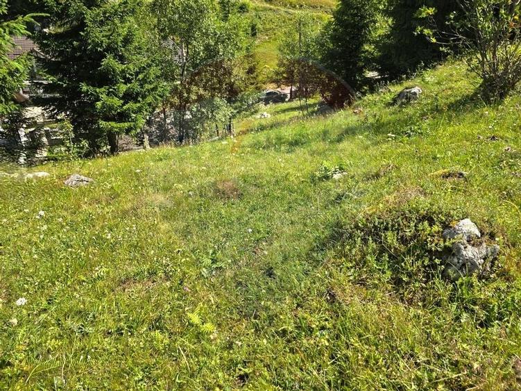 Teren de vis în Fundata 1934mp sau 3868mp, la înălțimea sufletului tău - 5