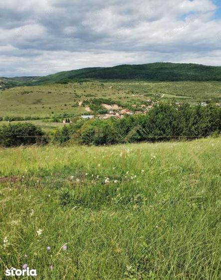Teren intravilan 2.200 mp | Radaia Baciu | Panorama superba - 2