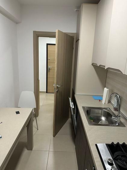 Inchiriere Apartament Elegant cu 2 Camere Baneasa-Greenfield-Parcare - 10