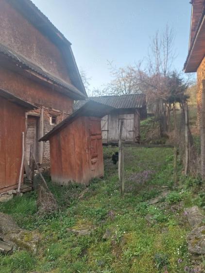De vanzare gospodarie - 4