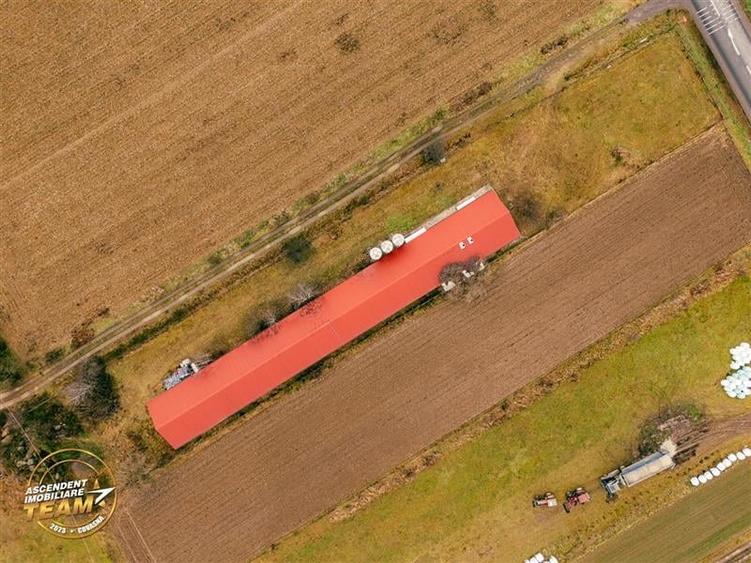 FILM! Ferma de iepuri,Malnas,Covasna: domeniu:comercial/industrial,asset UE - 41