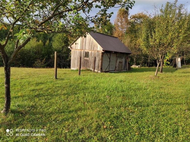 RECO Casa de vacanta in Borod - 4