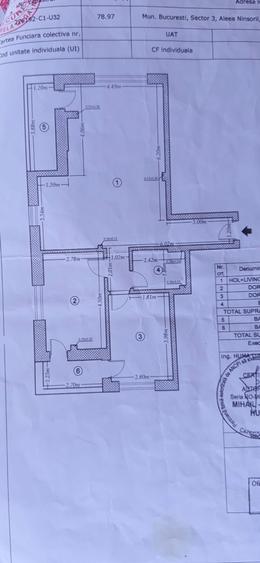 Titan aleea Ninsorii - 9