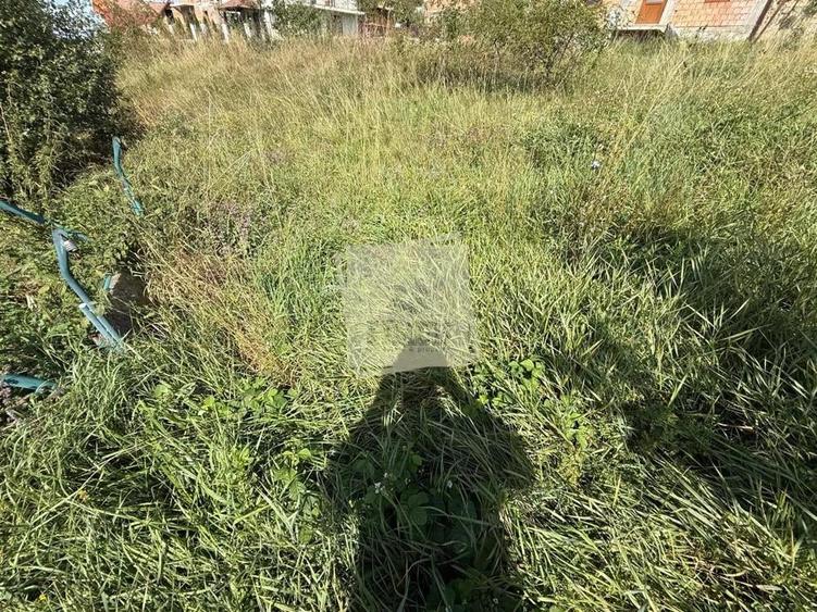 Casa individuala cu 2 camere si 495 mp teren in Sura Mare - 7