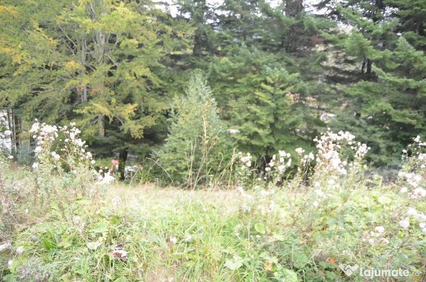 Busteni-Teren de vanzare cu o panorama superba - 8