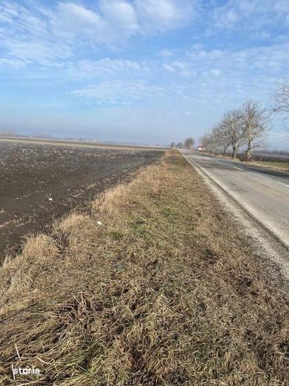 Vand teren agricol Halchiu - 2