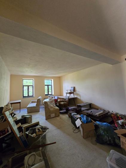 Cenad-Ultracentral-2 fronturi- Casa cu ahitectura deosebita - 15