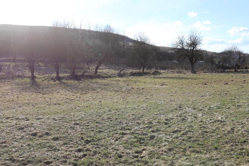 Teren intravilan 3645 mp , com Geaca, sat Lacu - 4