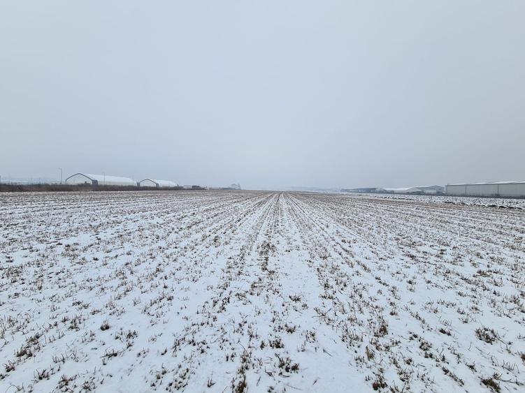 Teren industrial de vanzare in Stupini - 1