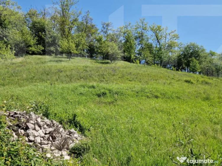 Casa de Familie | 175 mp + Curte 3166 mp | Tatara?ti, B - 12