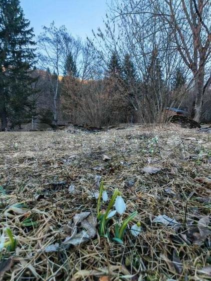 Casa de vacanta de vanzare in Rasnov - Brasov - 6