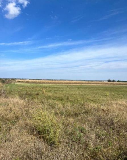 Teren extravilan, 2480 mp, Radauti - 3