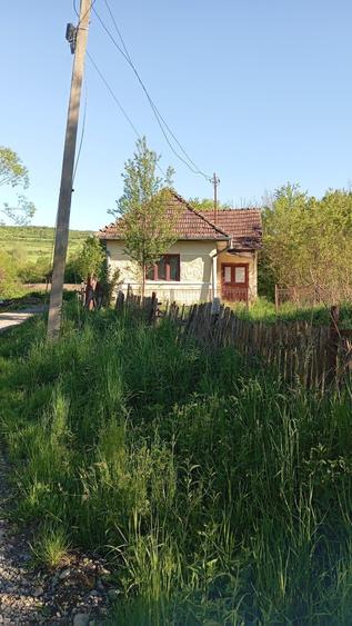 De vanzare casa si teren generos in localitatea Teleac, judetul Mures! - 3