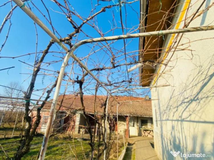 Casa pe parter, 2.753 mp teren, Marotinu de Sus, Celaru - 2
