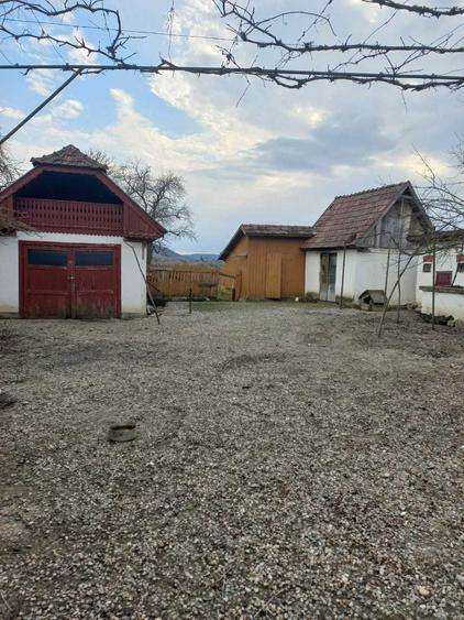 Vand casa cu anexe si gradina in suprafata de 66 de ari - 2