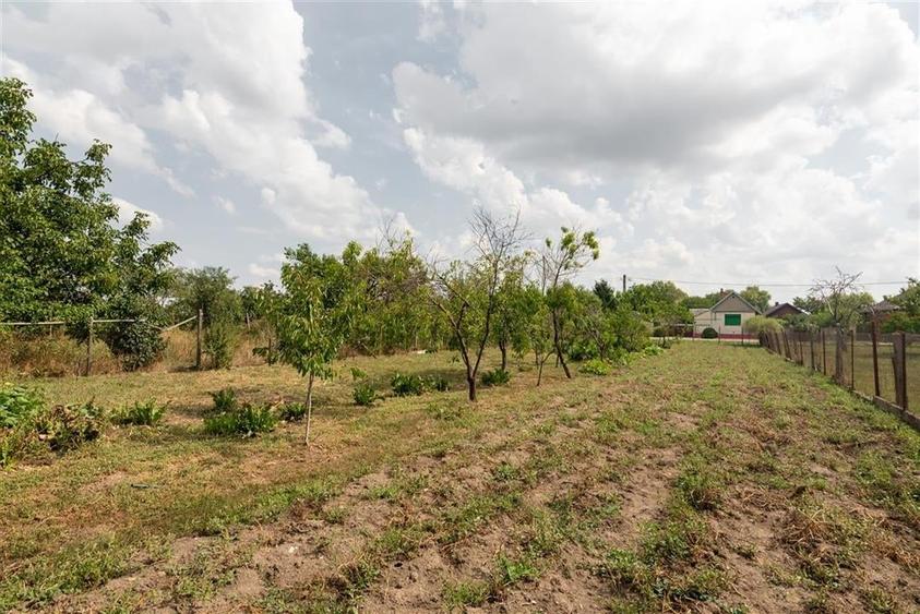 Teren mare cu 2 case si front la 2 strazi in Tamaseu - 30