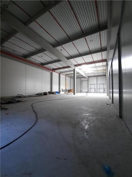 Spatiu Industrial - 5500 mp - Logistica - Productie - Depozitare - Distributie - 10