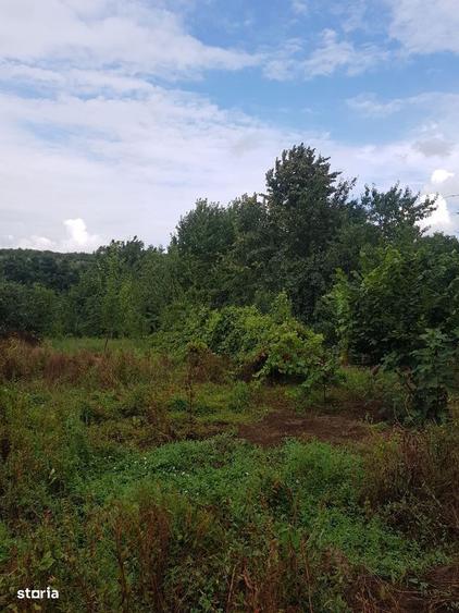 Teren de vanzare in Bucium, 1000mp, acces asfaltat - 3