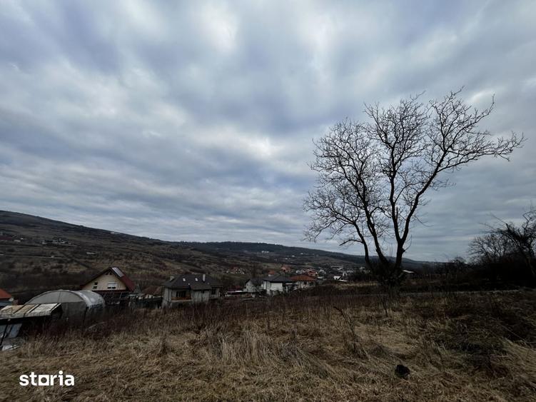 Teren intravilan 480mp Valea Chintaului pentru casa individuala D+P+1 - 2