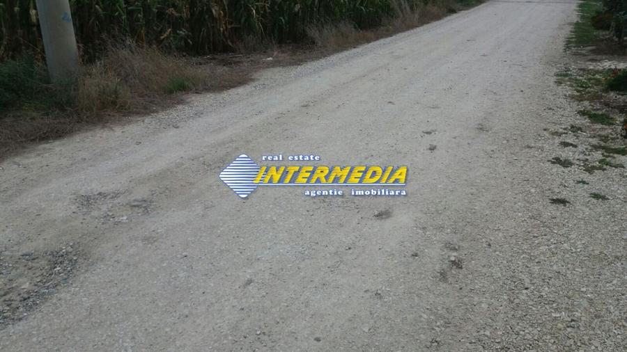 Teren Construcții intravilan de 11000 mp, în Cetate
