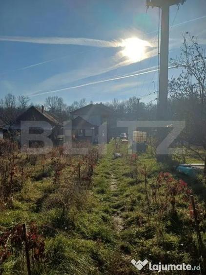Casa + 20 arii teren, distanta 30 km de Bistrita - 8
