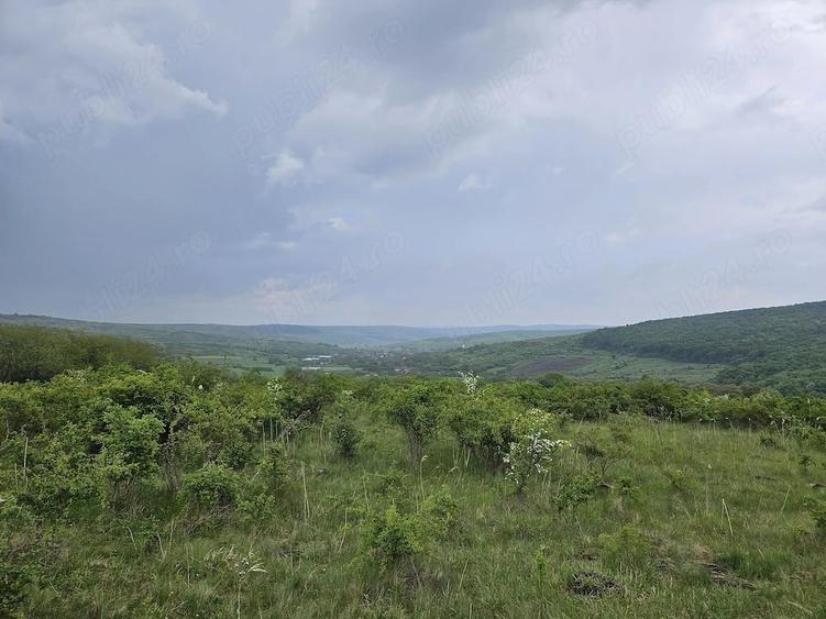 Teren de 2900 mp, în Corușu