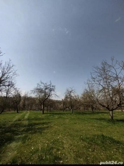 Teren de 6800 mp, în Șișești