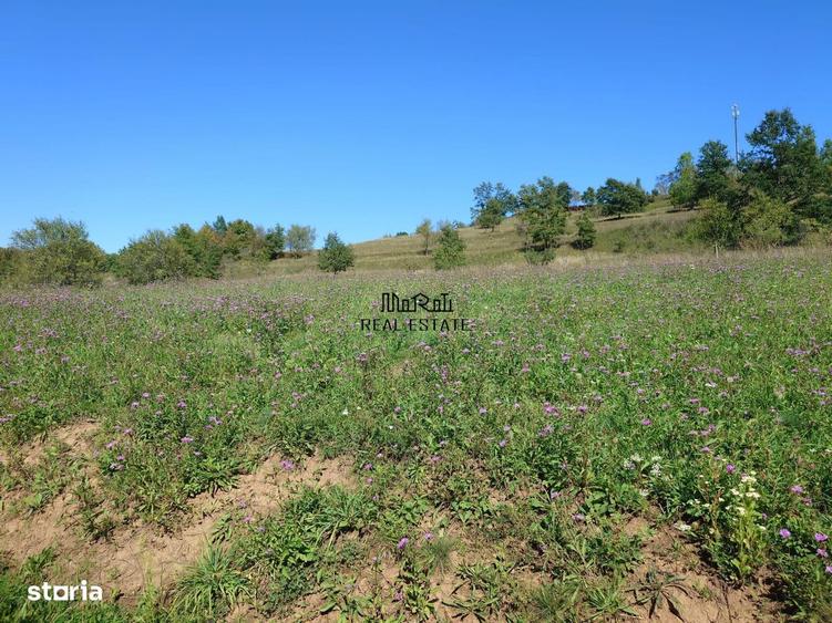 Teren de 8757 mp, în Luncoiu de Jos