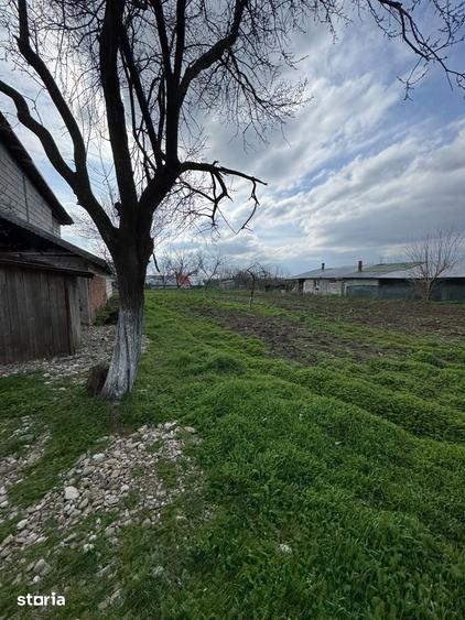 Casă cu 6 camere cu Teren 4044 Mp în Drăgoești