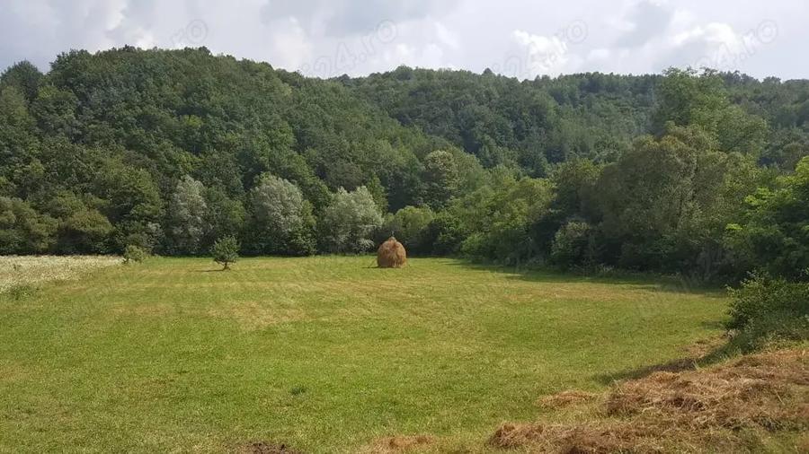 Teren de 7800 mp, în Vața de Jos