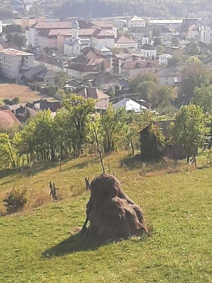 Teren de 1100 mp, în Central